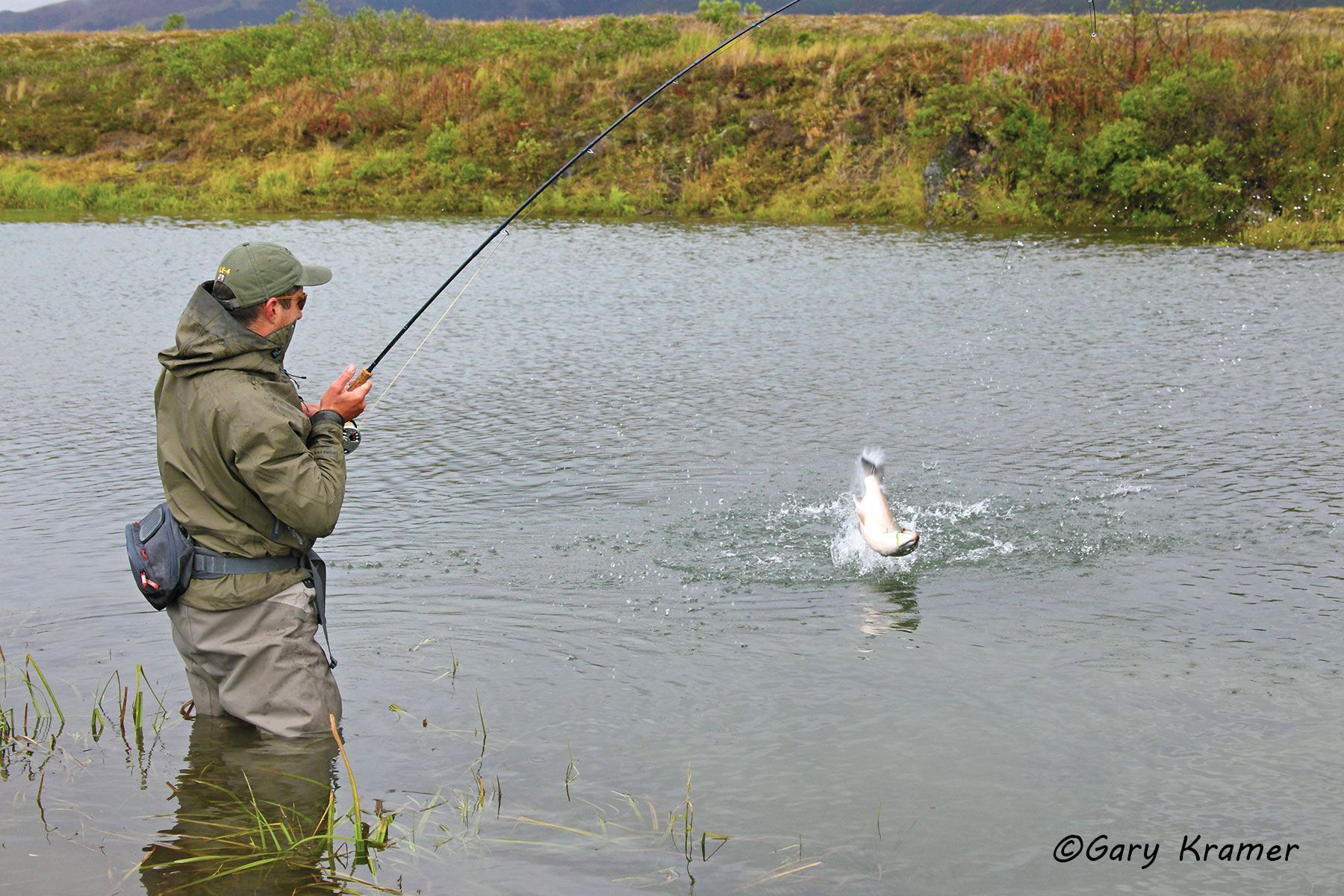 Flyfisherman fighting Silver Salmon - NFAS#072d
