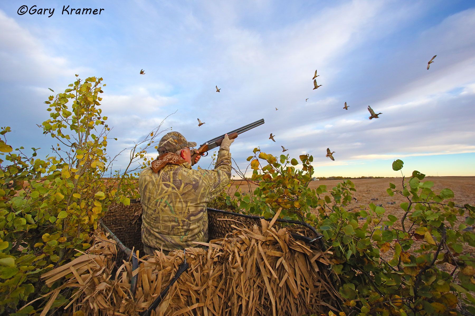 Hunter shooting at ducks (field set) - NHDax#173d