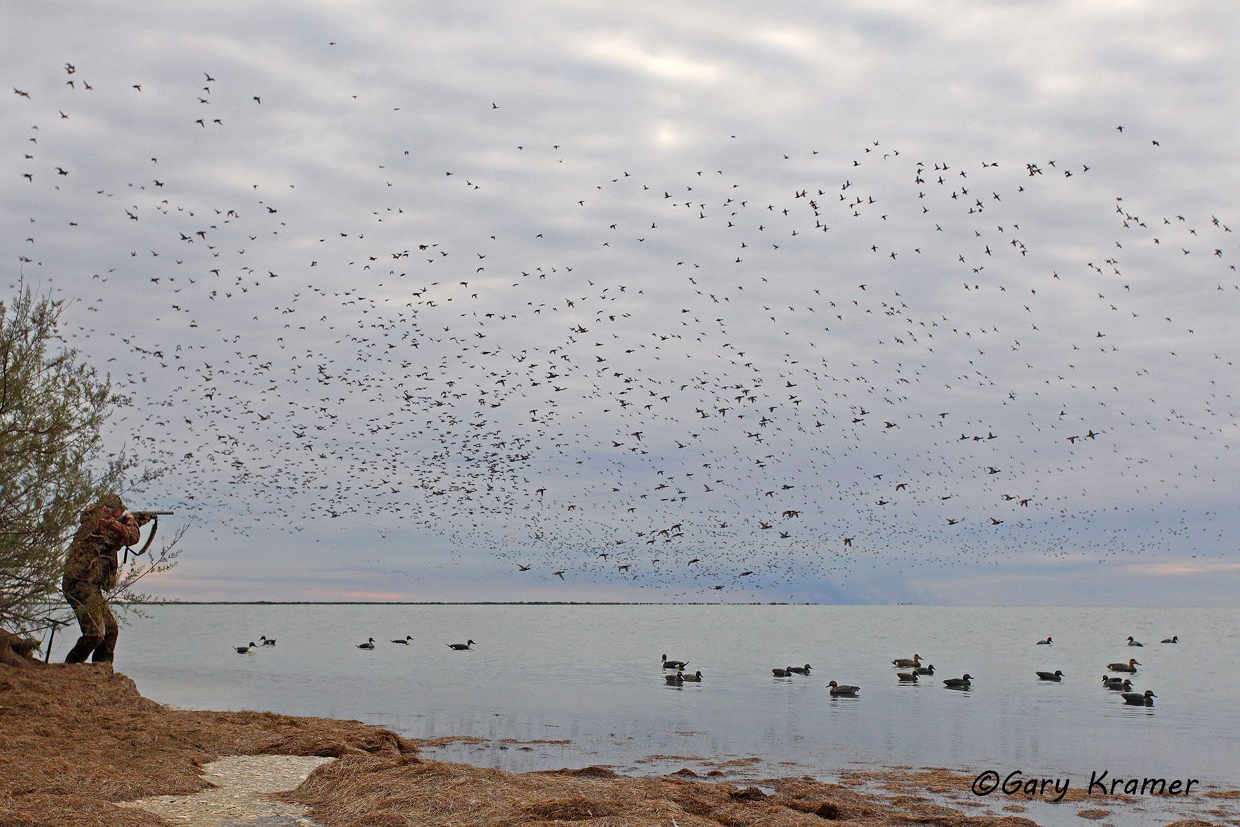 Hunter shooting at ducks over decoys - NHDad#207d