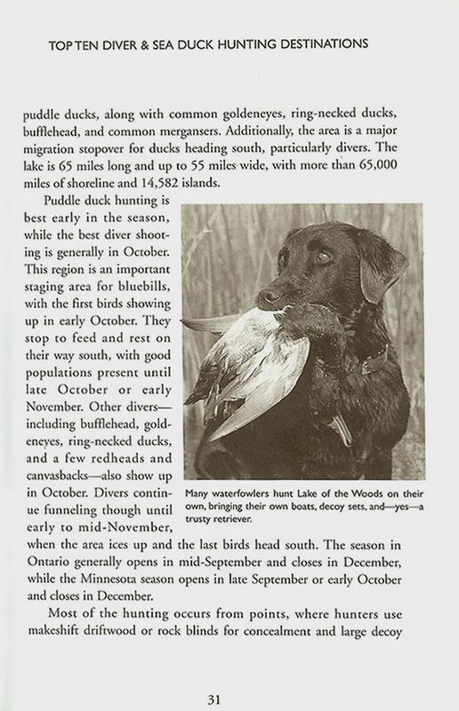 A Ducks Unlimited Guide to Hunting Diving & Sea Ducks - Gary