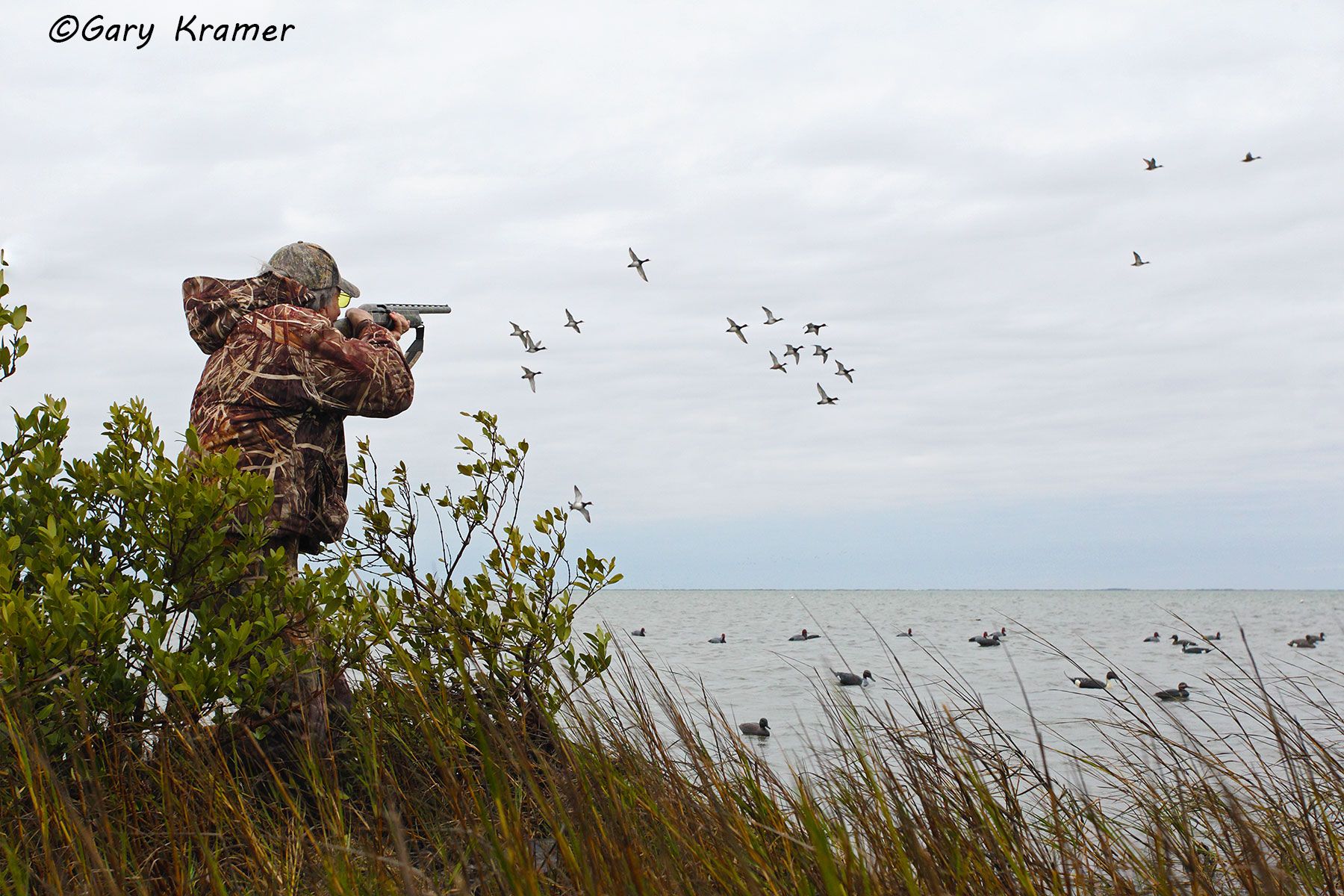 Hunter shooting at Redheads over decoys - NHDsrd#071d