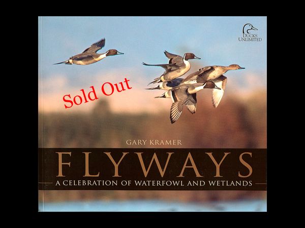 Flyways---Sold-Out-(use).jpg