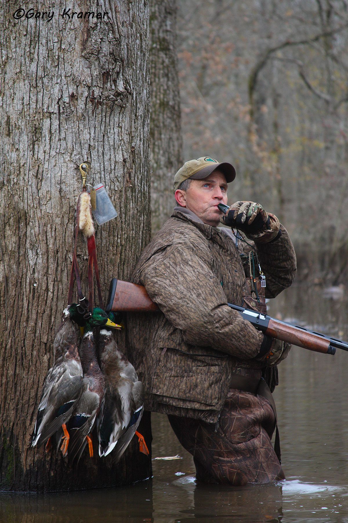 Hunter (George Dunklin) calling in flooded timber with Mallards - NHDcmt#082d