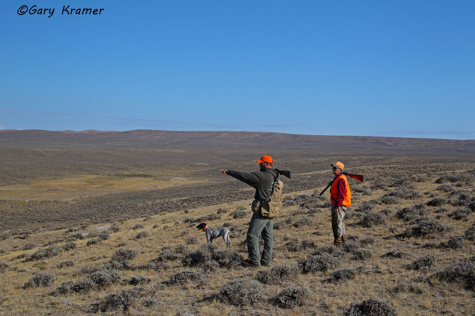 Sage Grouse hunter(s) w/German Shorthaired Pointer Sage Grouse hunter(s) w/German Shorthaired Pointer - NHShgp#015d