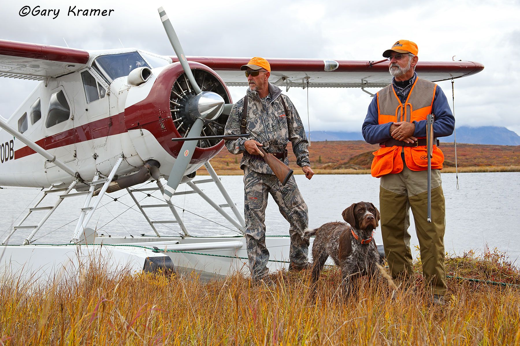 Ptarmigan Hunter(s) w/German Wirehaired Pointer(s) & Float Plane Ptarmigan Hunter(s) w/German Wirehaired Pointer & Float Plane - NHLpp#009d