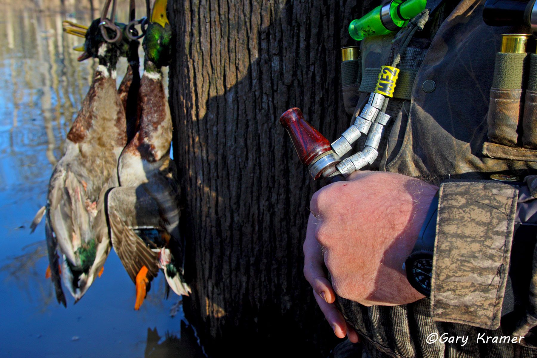 Duck/Goose bands and calls on lanyard NHDzz#011d.jpg
