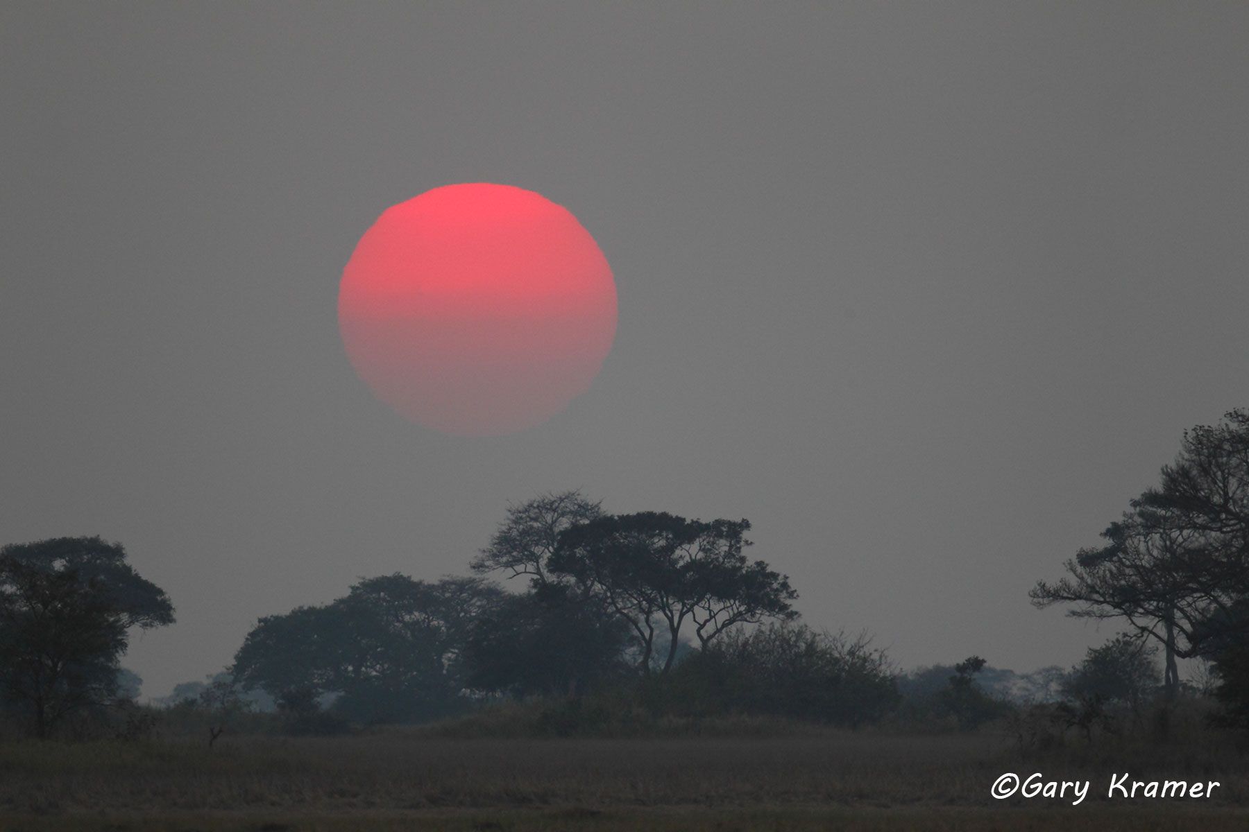 African sunset - ASS#006d.jpg