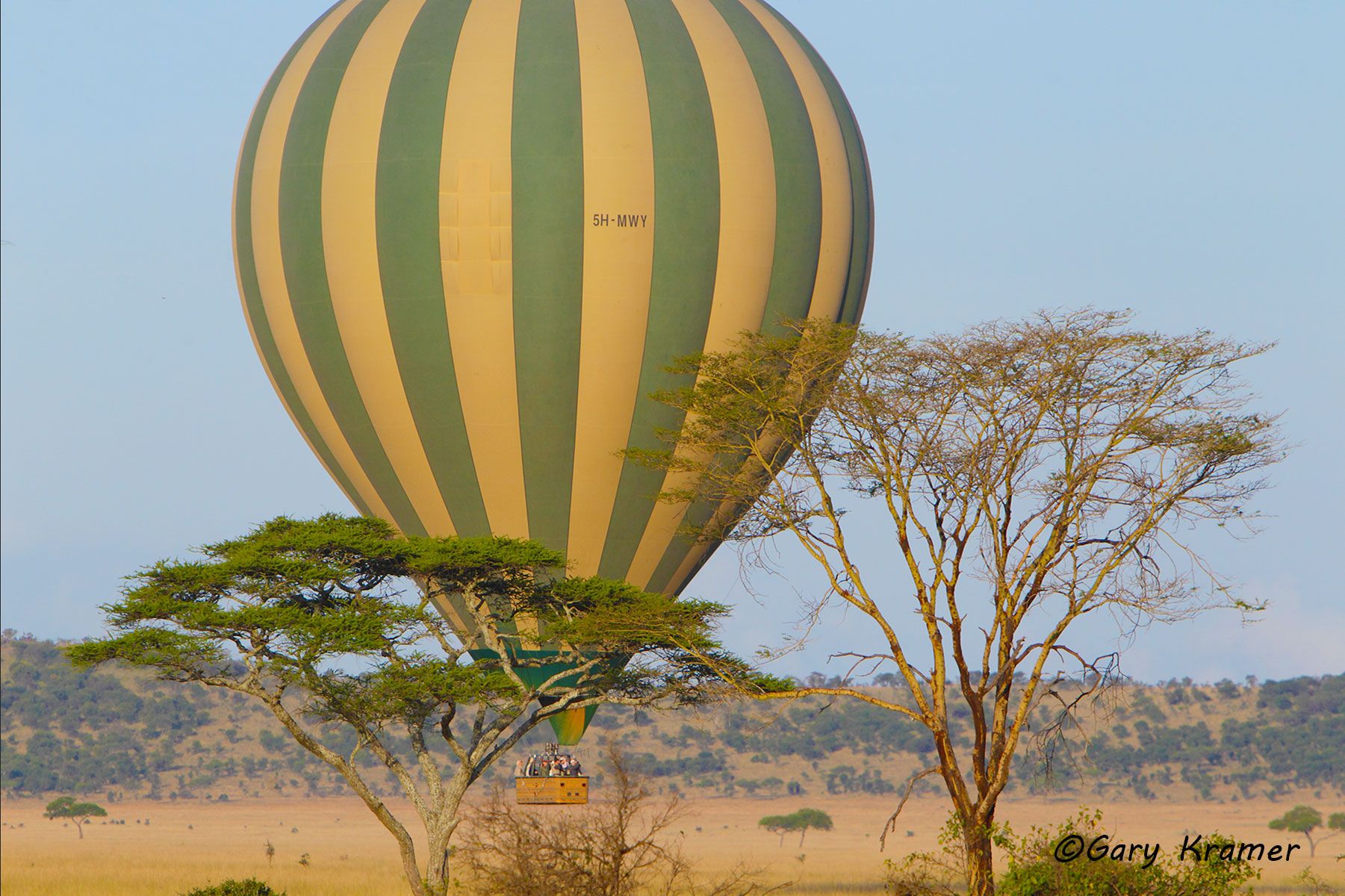 Hot air balloon over Serengeti National Park, Tanzania - ASTbs#001d.jpg