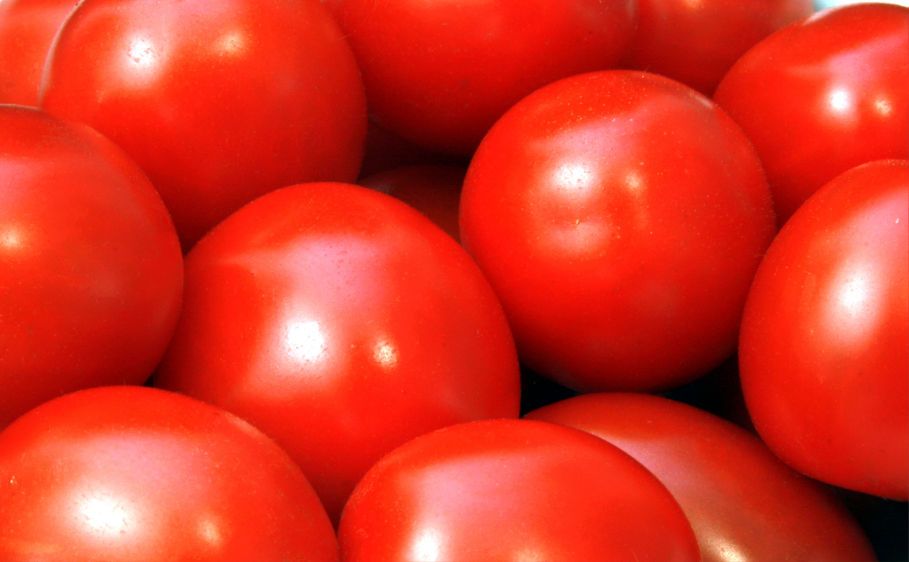 1Tomatoes1.jpg