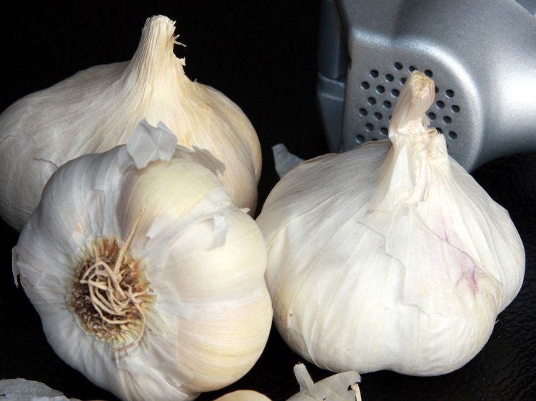 1Garlic.jpg