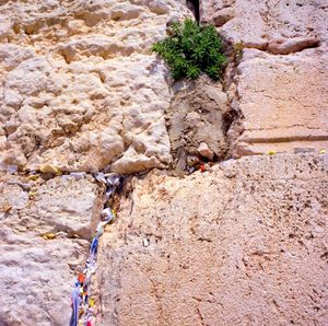Wailing Wall - Israel
