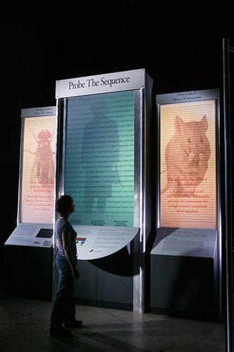 Tradeshow Exhibit Photography Koshland Science Museum