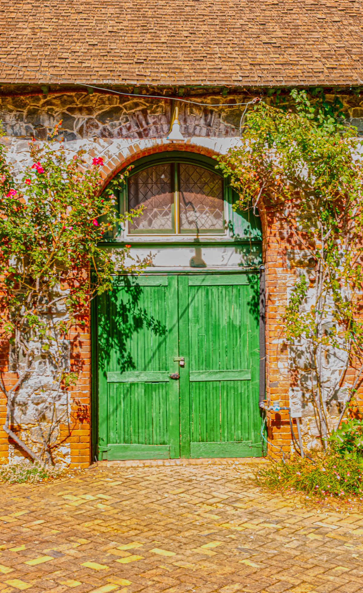 The Verdant Entrance
