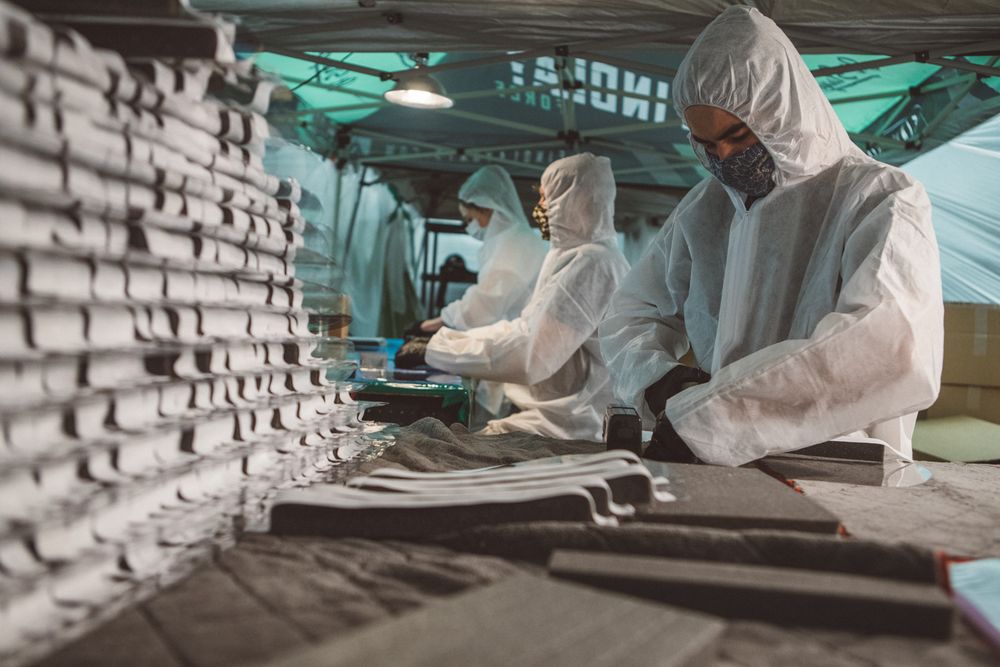 Findlay Shields4 - ALL -27.jpg