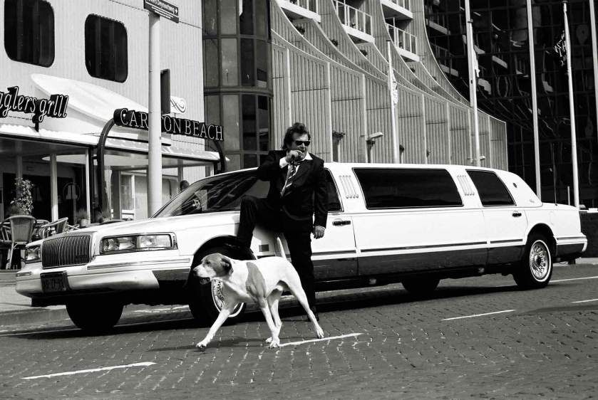 Michiel Romeyn, Actor