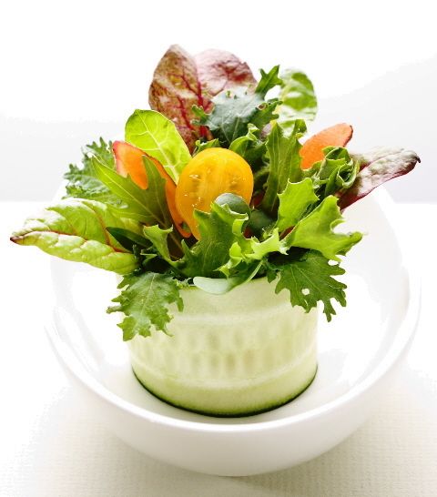 Gourmet Salad Cup