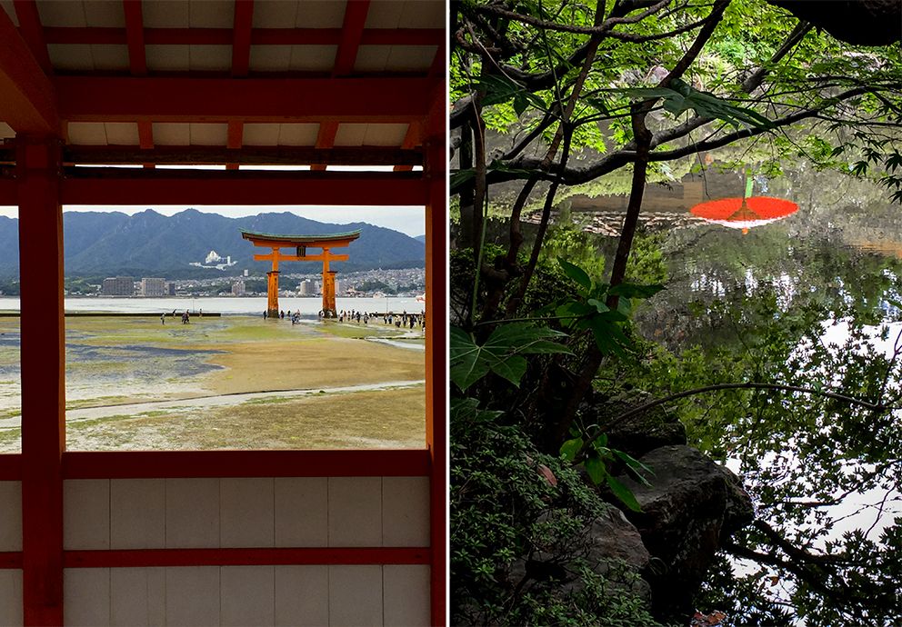 shireumbrella-diptych.jpg