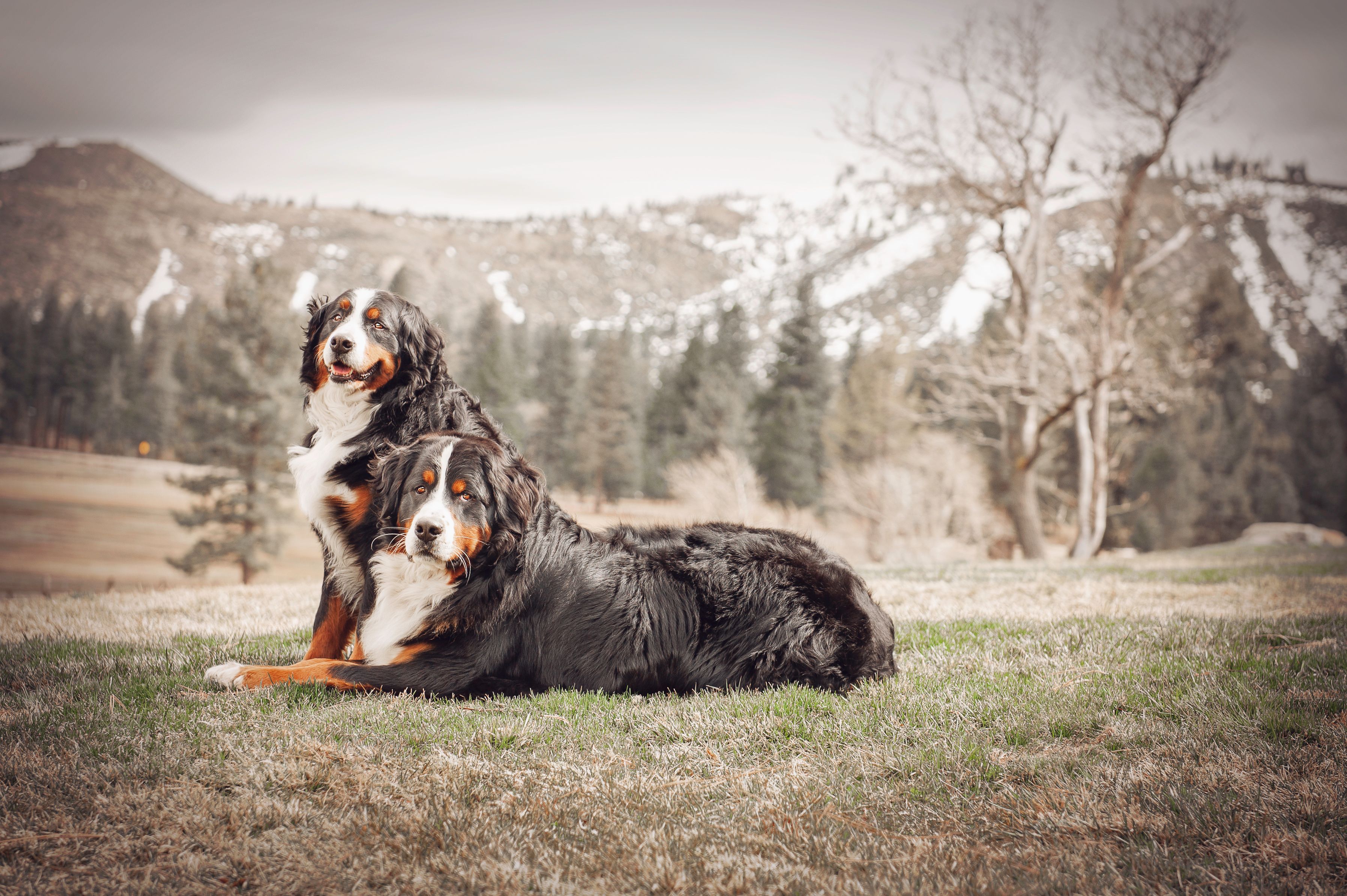 Wilson_Izzy for Website-3.jpg