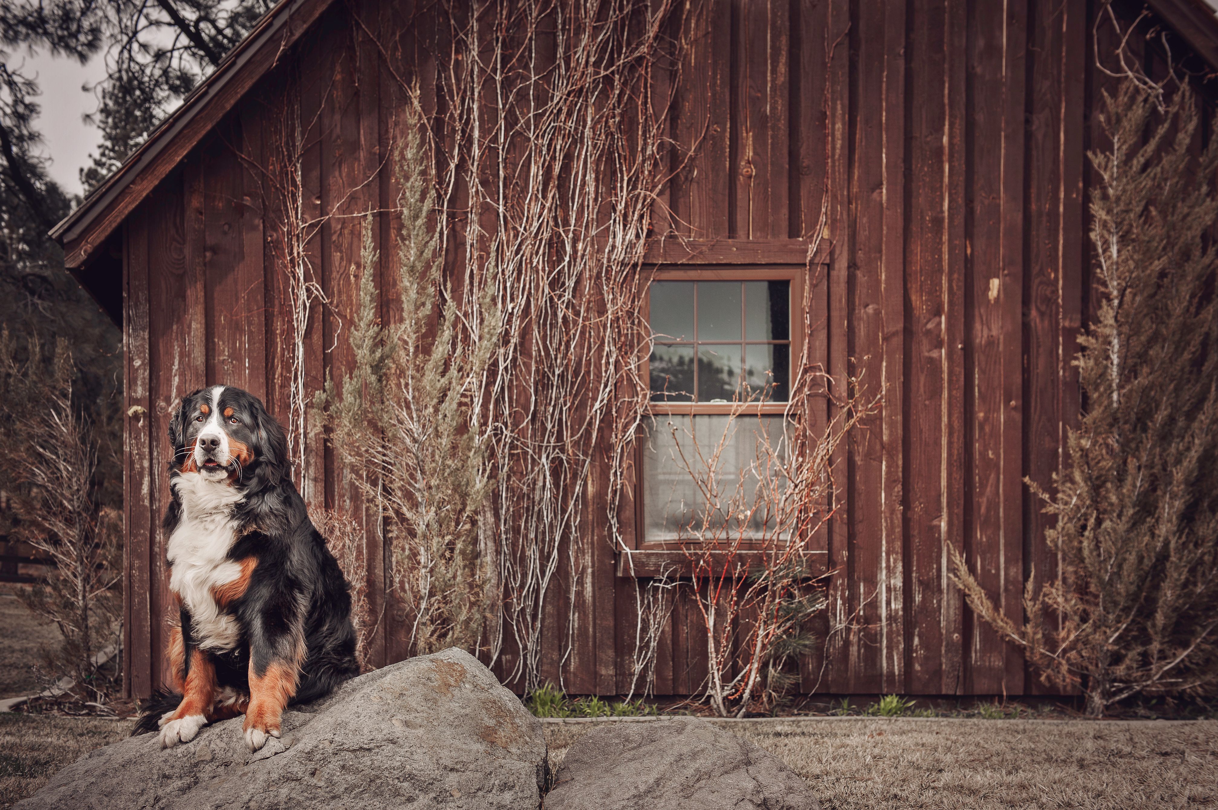 Wilson_Izzy for Website-5.jpg