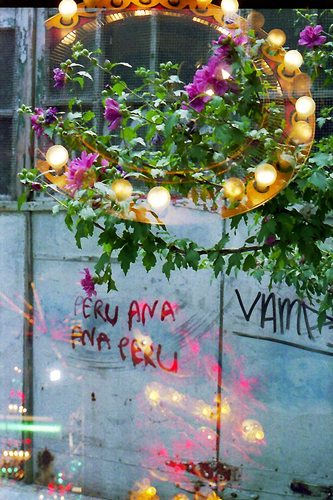 Peru Ana is Everywhere