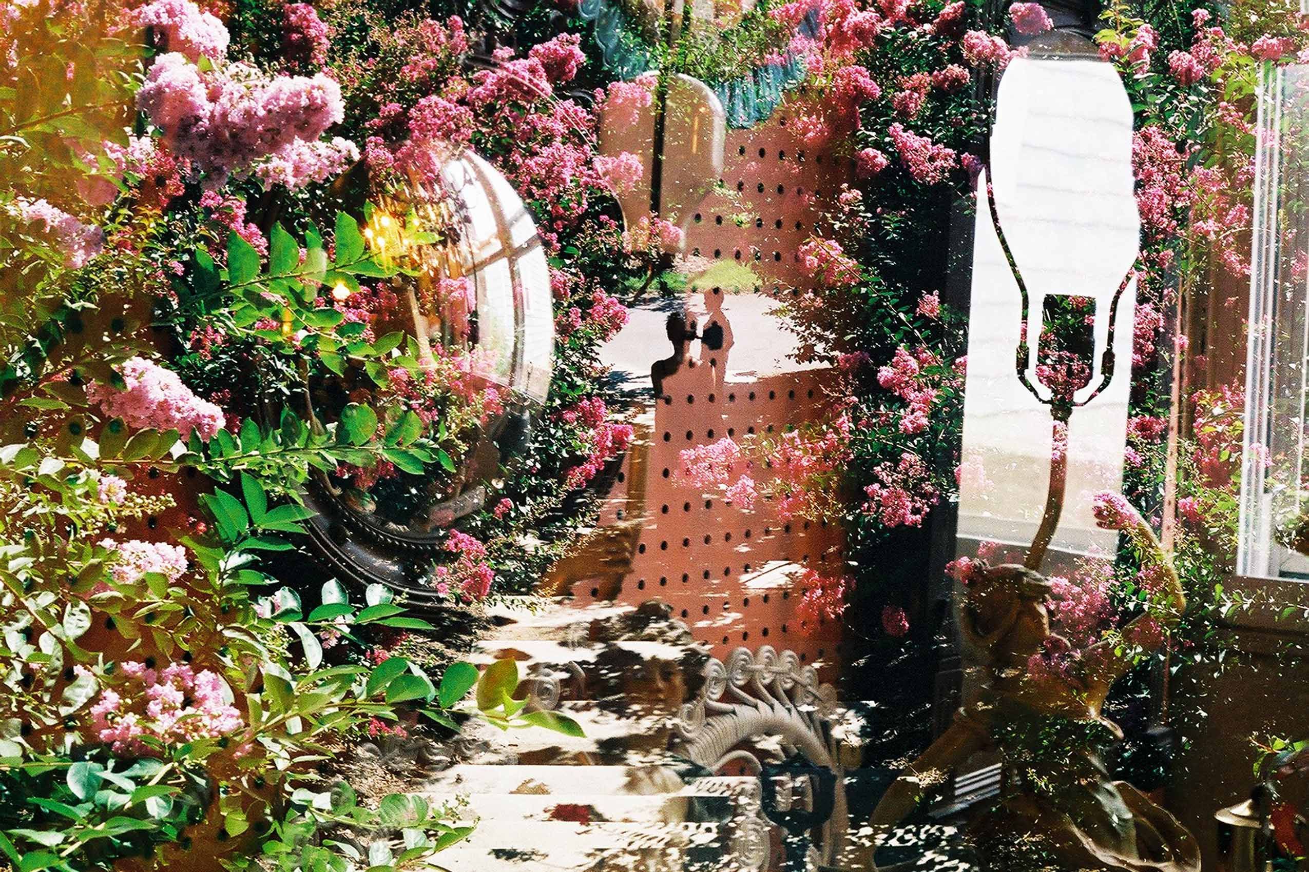 Through a Glass Lightly