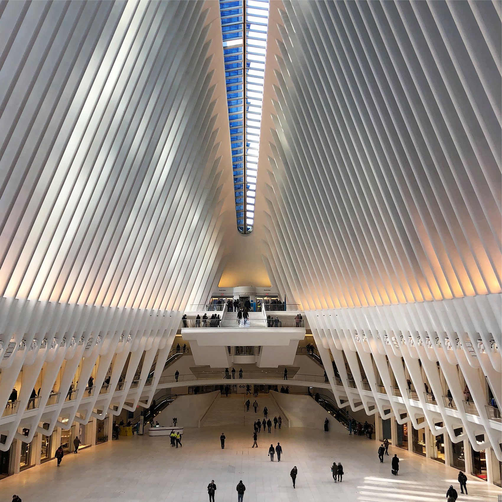 Interior, Oculus Space, NYC