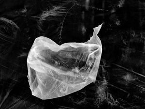 Floating Form No.2 2026