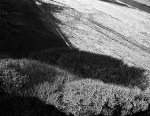 N, Coast Landscape No.6 1979