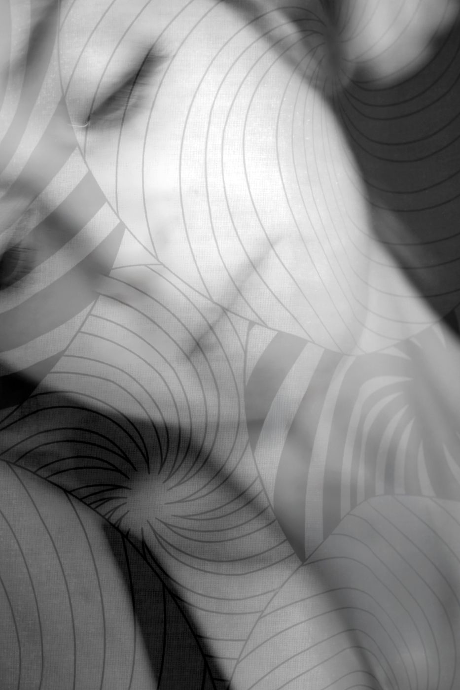 Woman No.5 2026