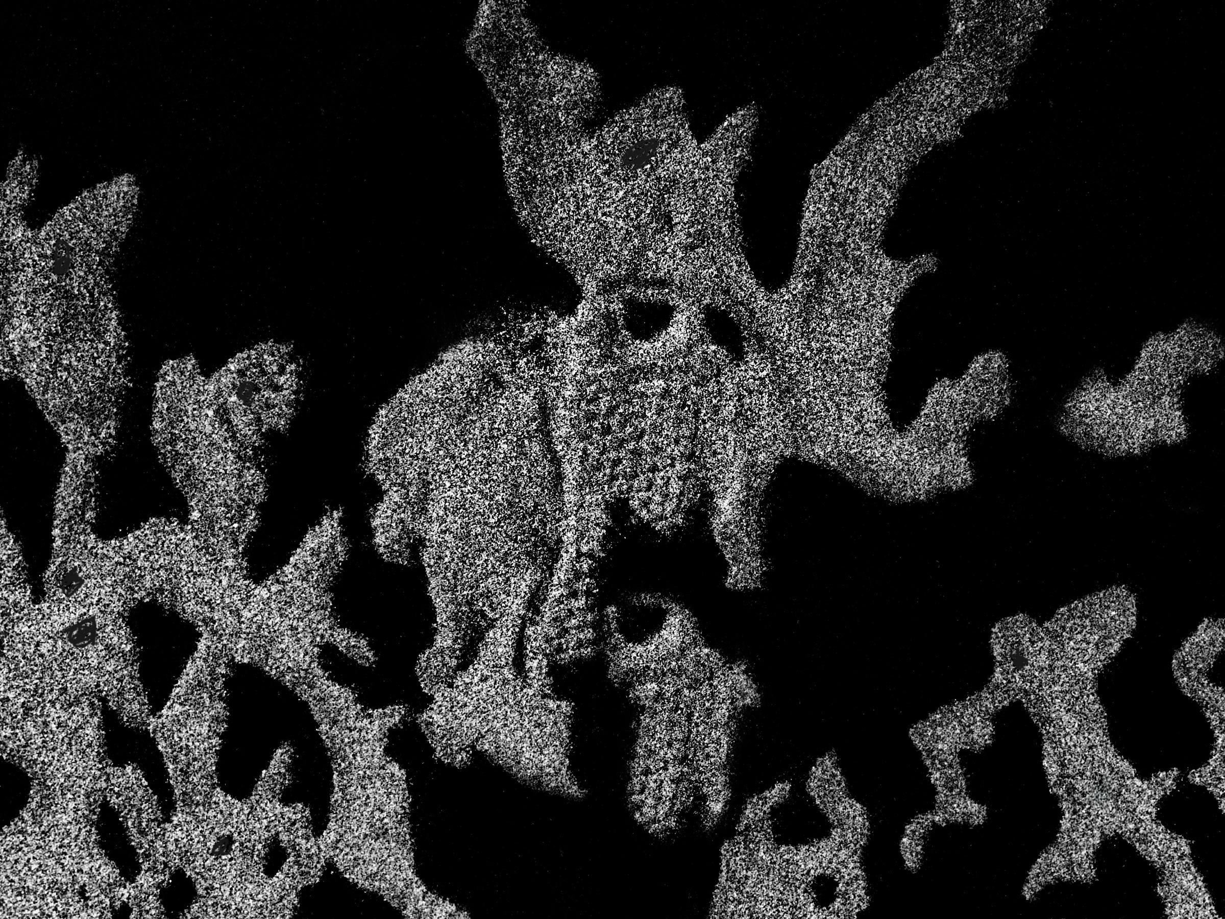 Night Visitors 2026