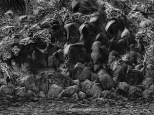 Sandscape No.14 2023