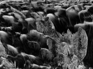 Sandscape No.22 2023