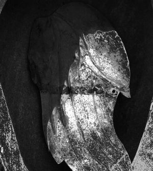 Nocturnal Figure 2017