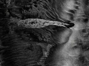 Sandscape No.35 2024