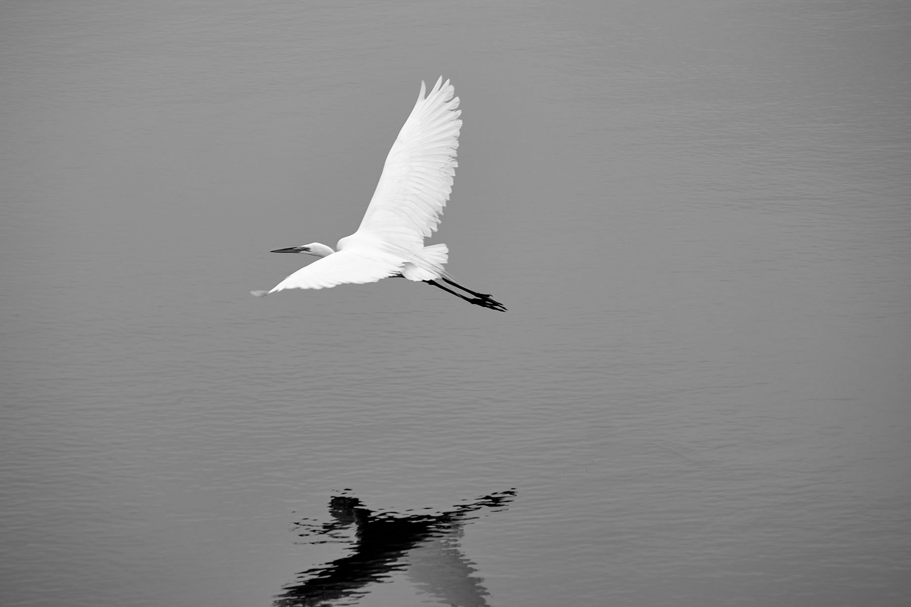 Lagoons_DSF5573 2.jpg