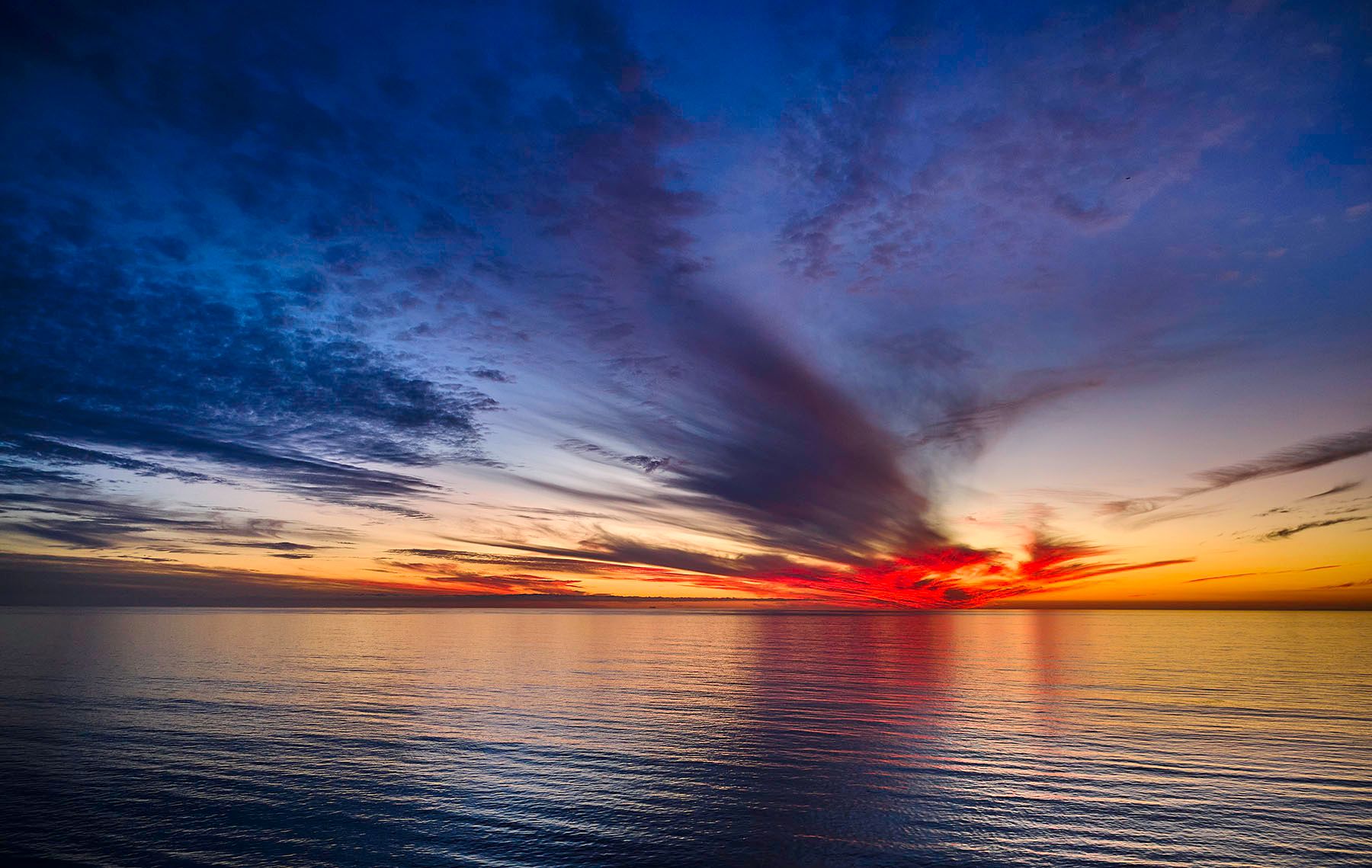 DJI_0893 1.jpg