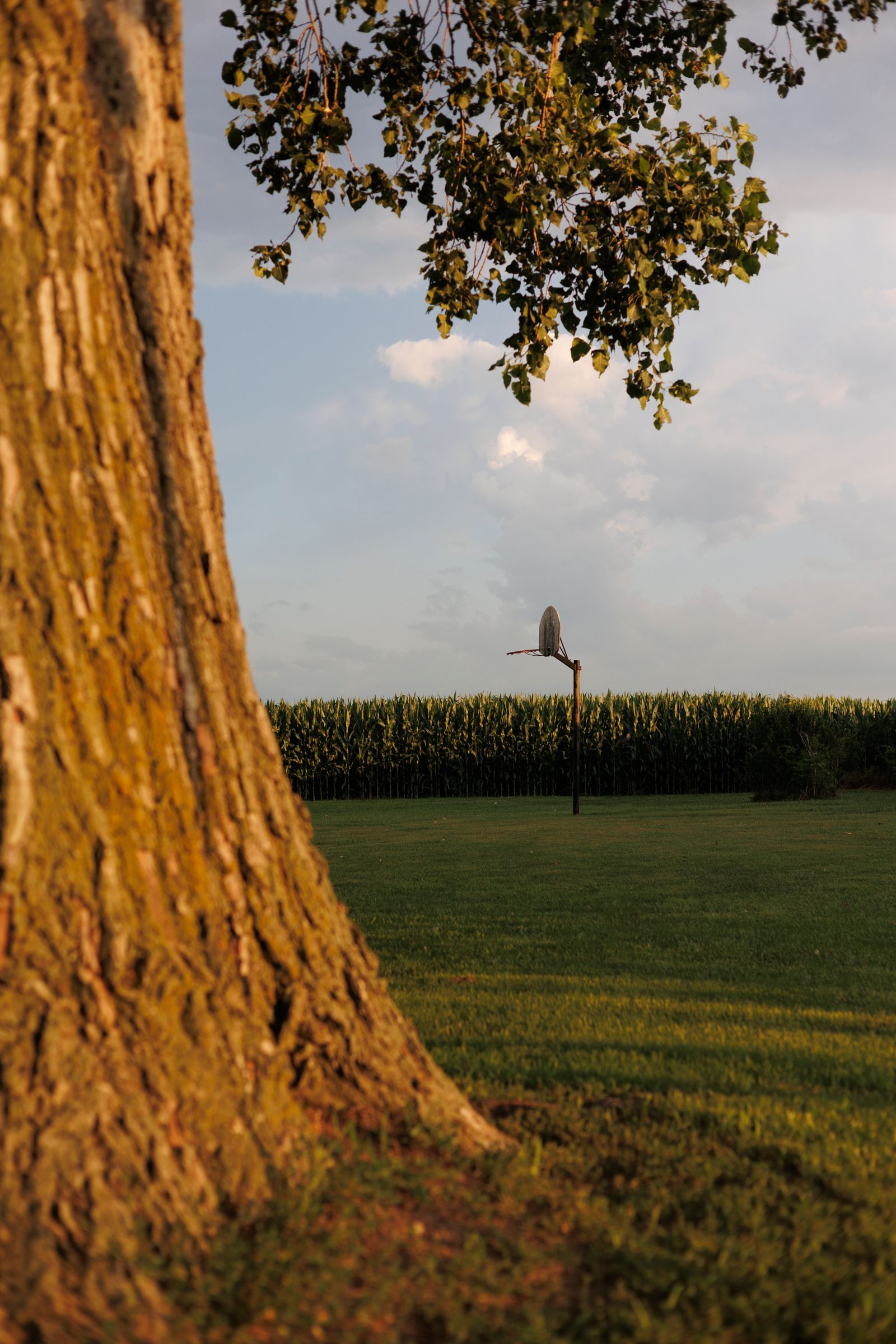 Where The Green Grass Grows-25.jpg