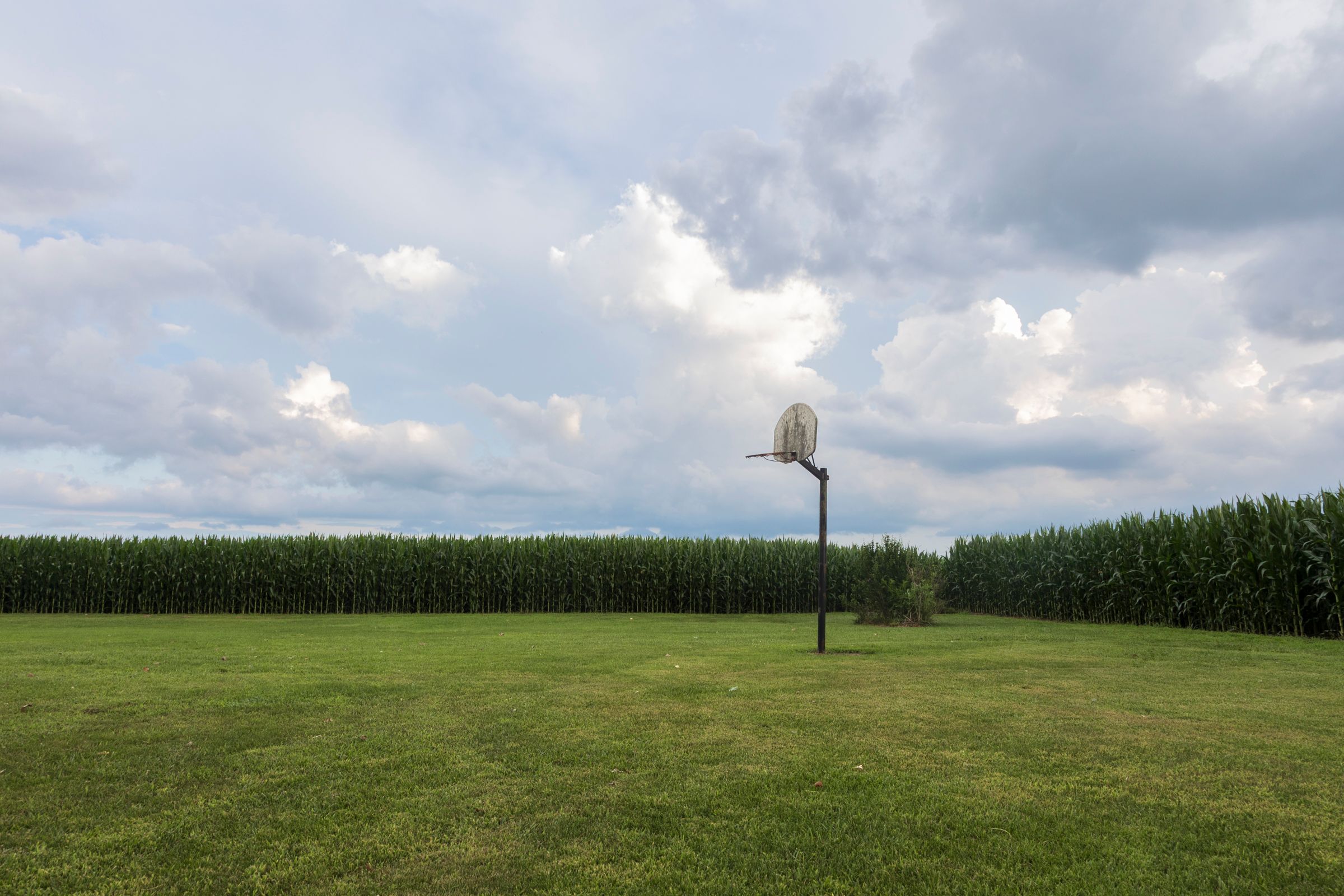 Where The Green Grass Grows.jpg