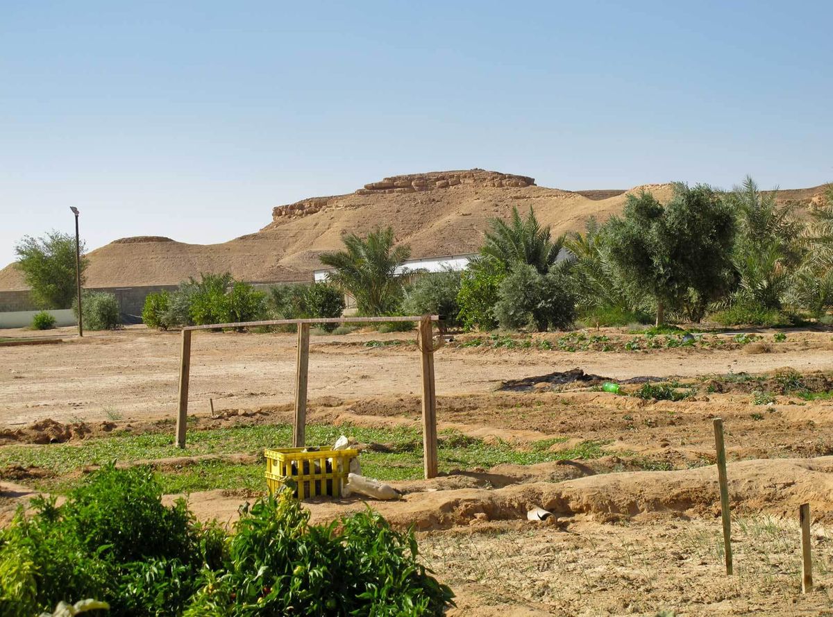 Arab family garden, Middle East.