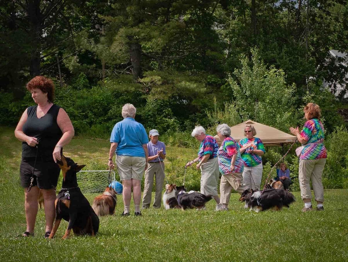 Square dancing with dogs at dog camp.