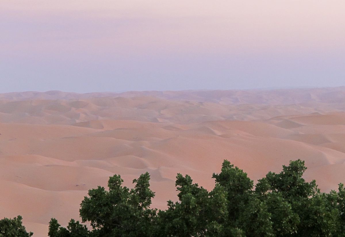 Desert flanked by green bushes.