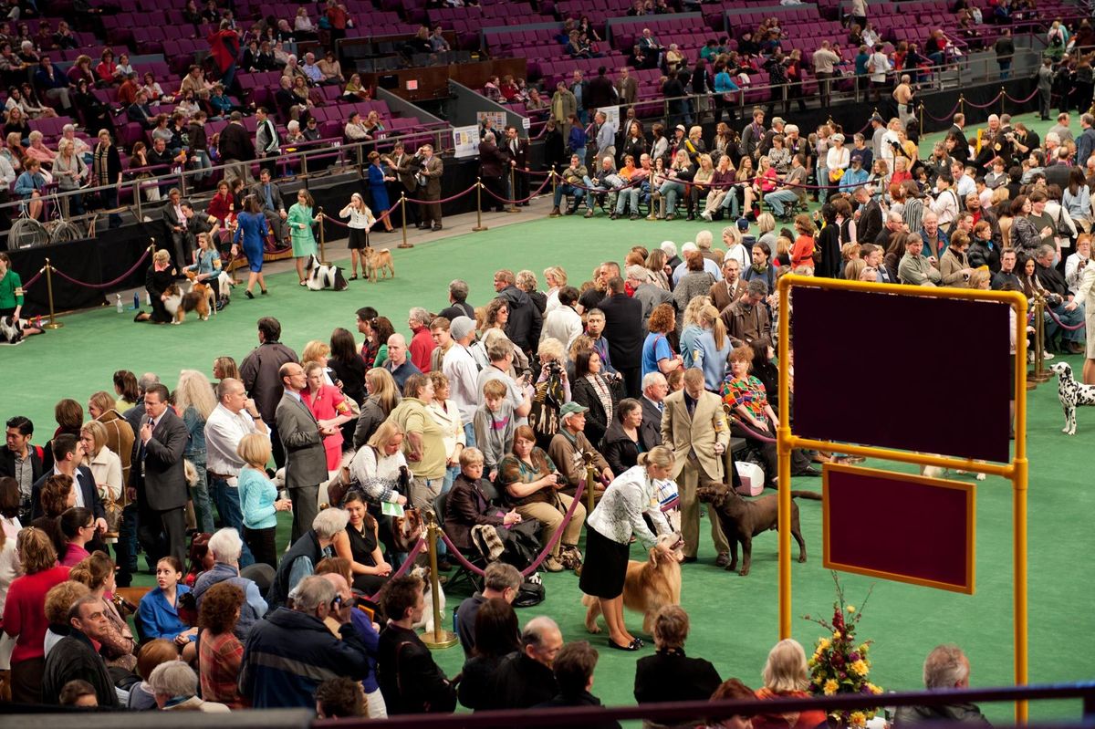 Crowds at dog show.