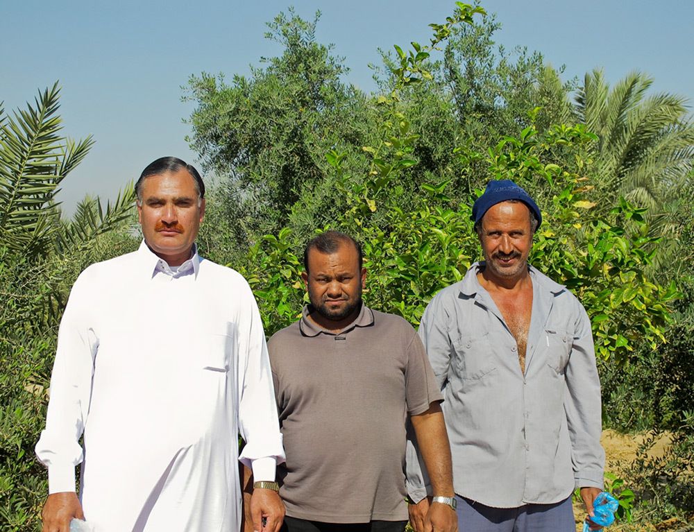 3 men from 3 Arab countries.