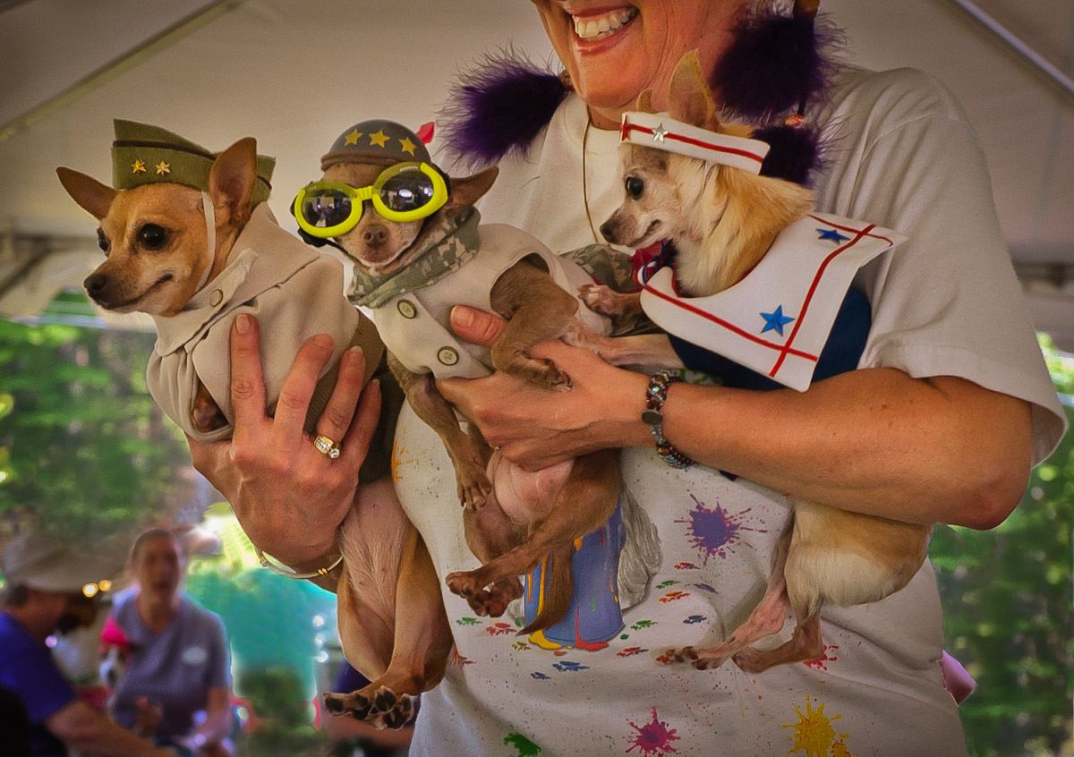 Dog costume party.