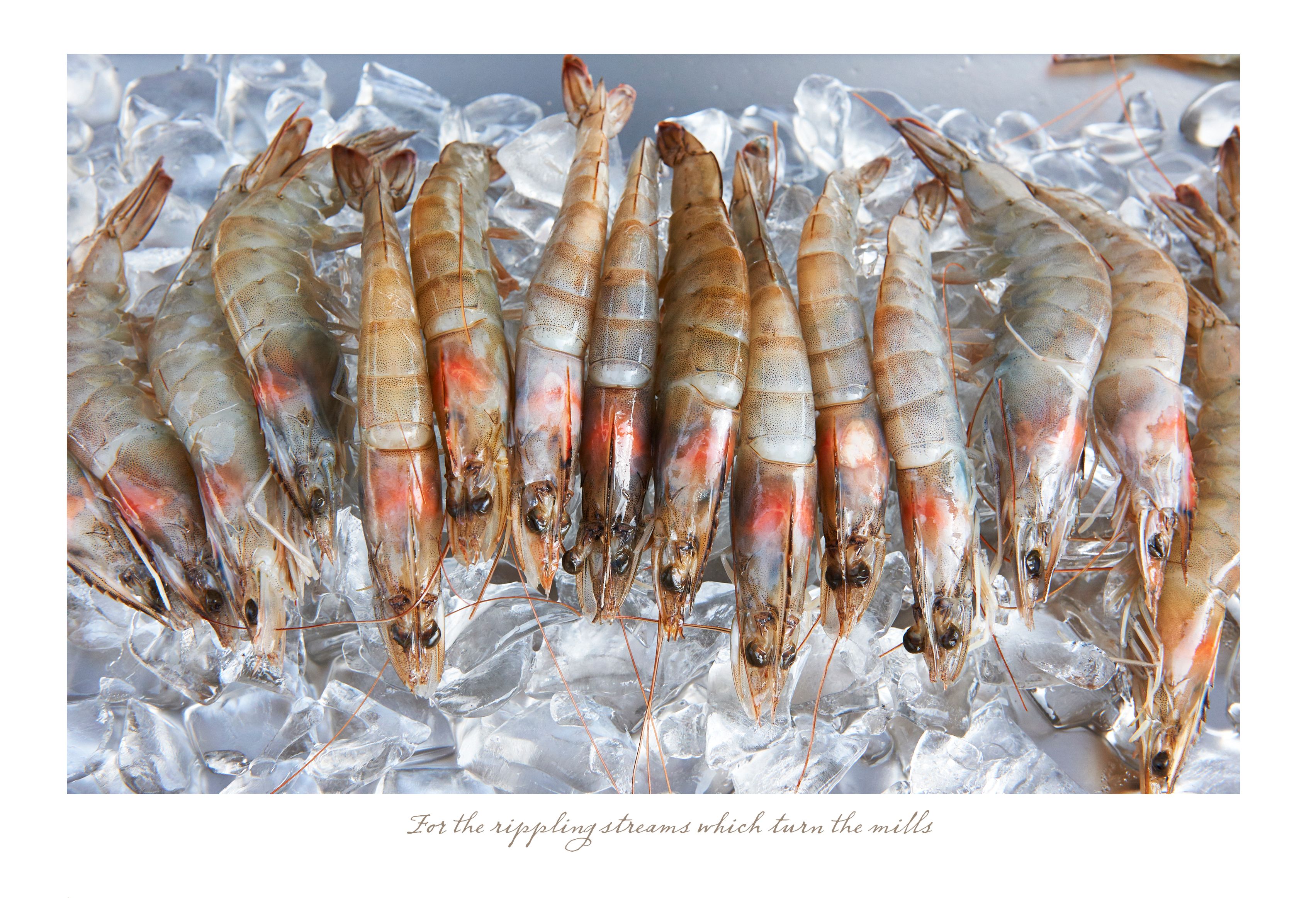 056-57_grid-June Streams copy.jpg