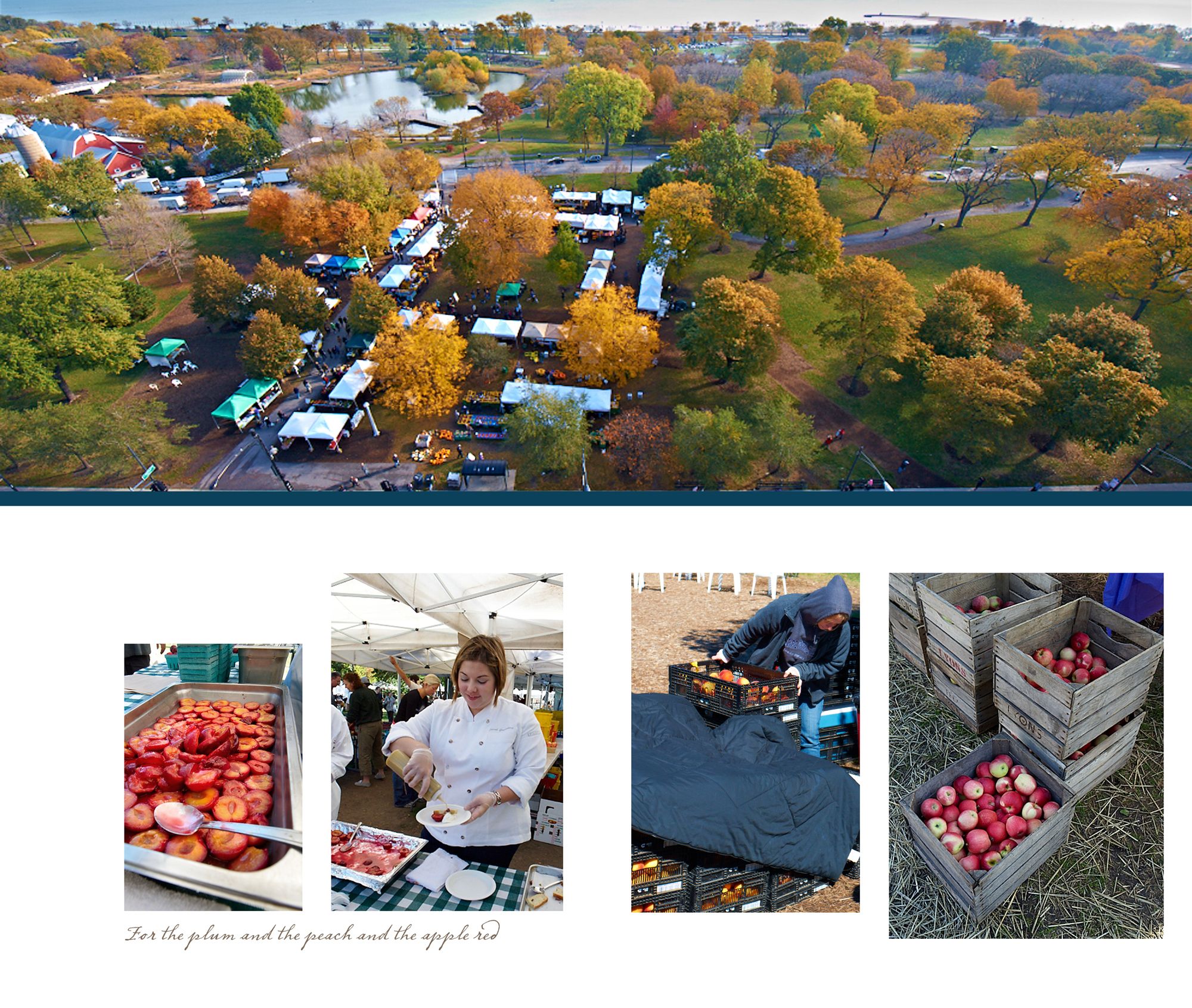 06-06_October-plum-peach-apple-web.jpg
