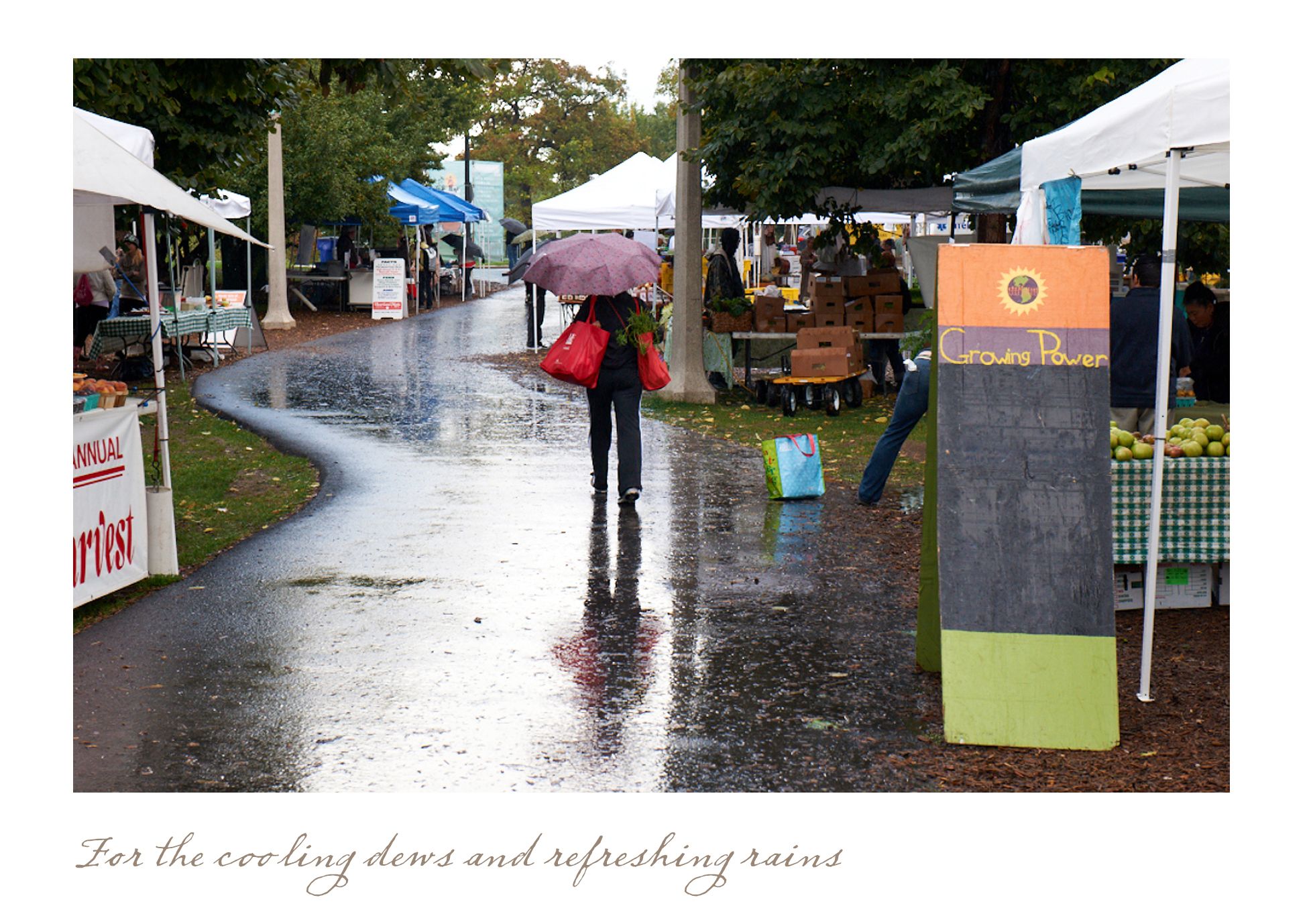 04-03_August-dew and rains.jpg