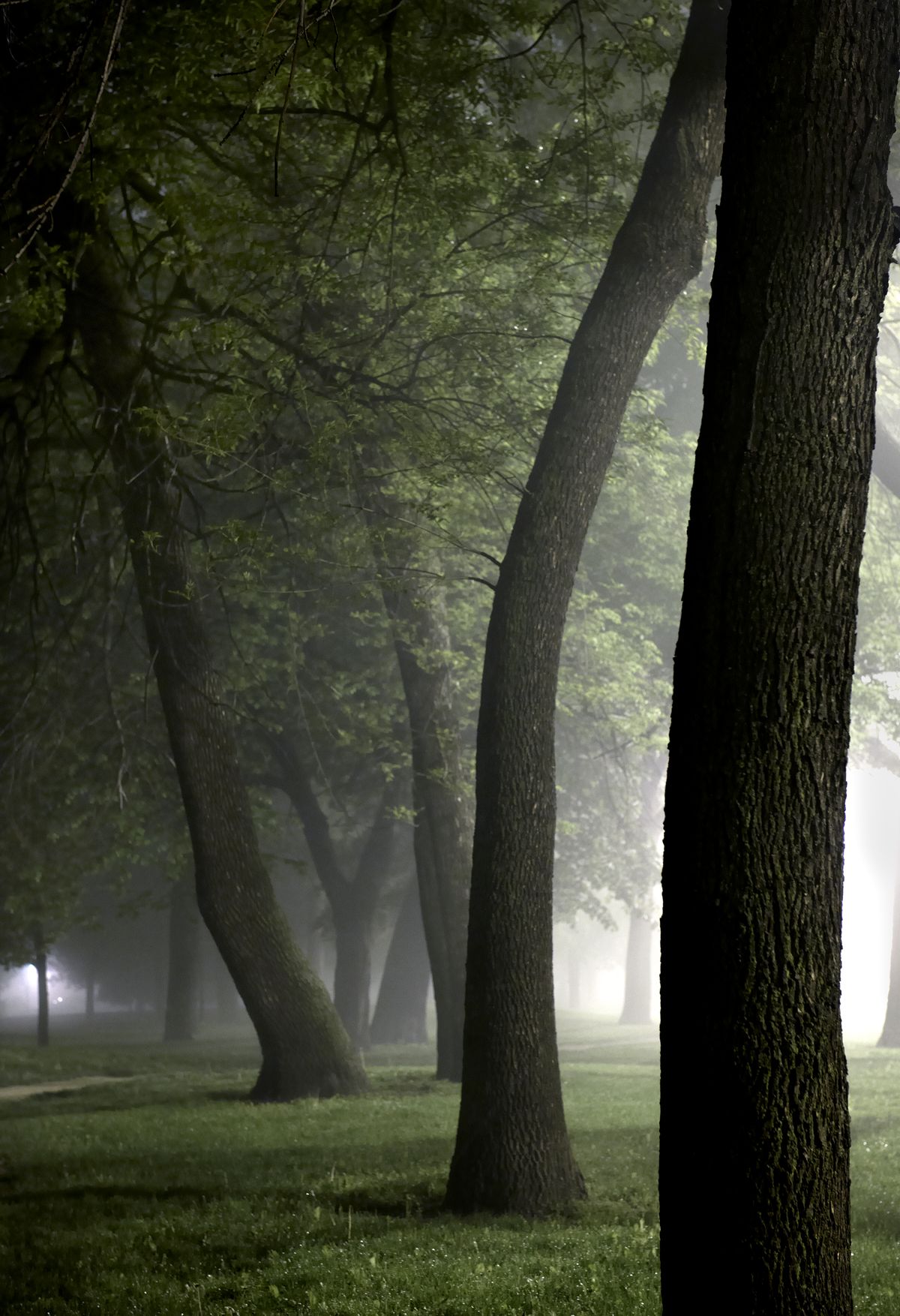 2012-57_Palmer Fog-DSC_6355 1.jpg