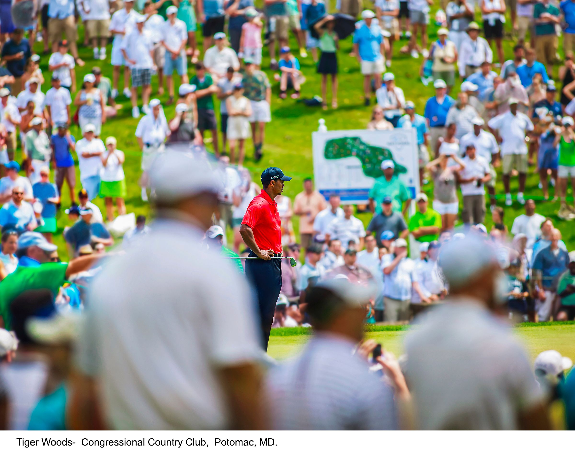 1266-  Tiger Woods.jpg