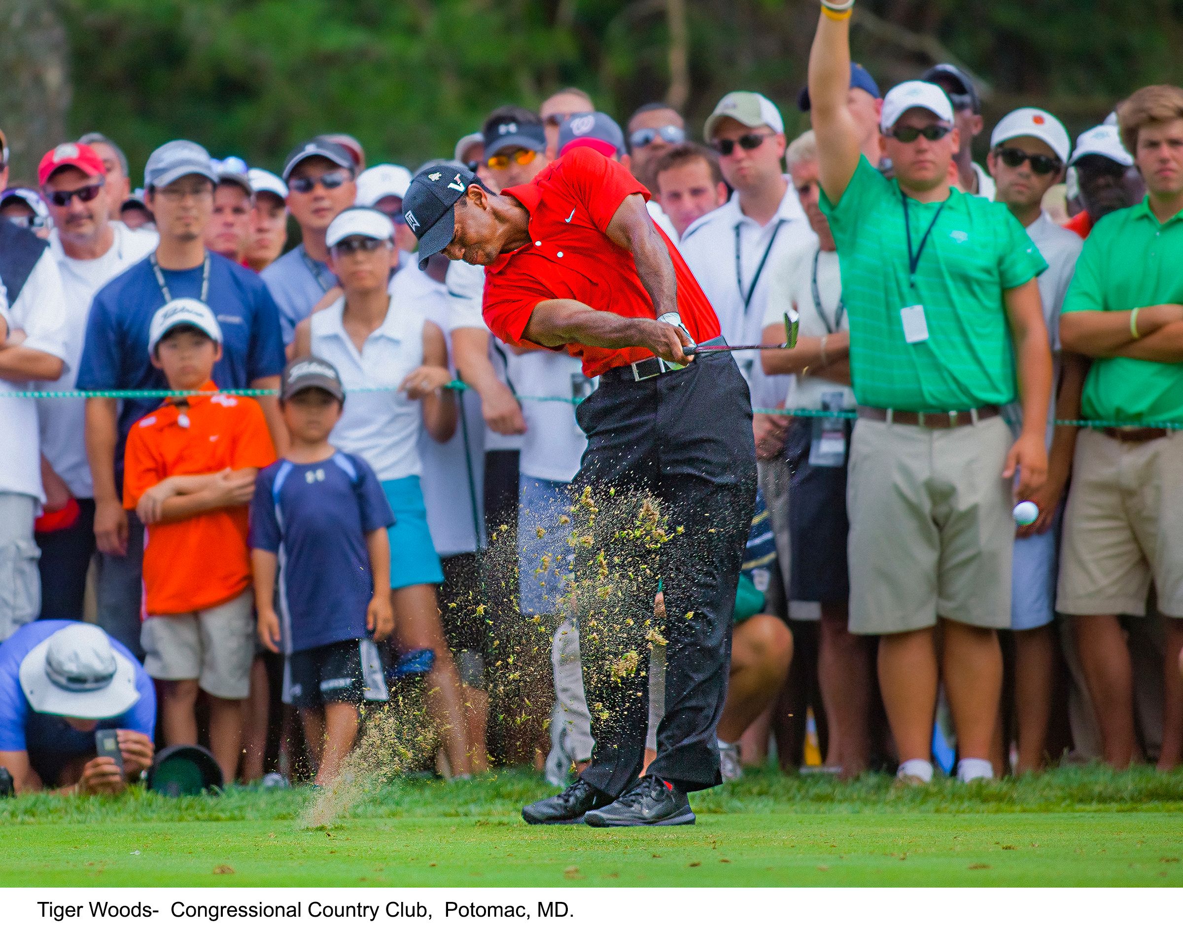 1323-  Tiger Woods.jpg